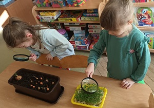 Dziewczynki ogladają zasiewy przez lupy