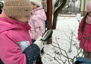 Dziewczynka obrzerwuje gałązki