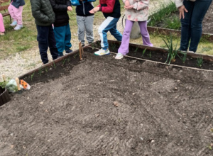 Jabłcusie w Ogrodzie: Kontynuacja Naszej Innowacji Pedagogicznej!