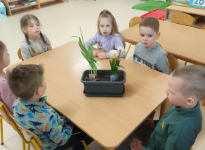 Sekrety kwiatów cebulowych – kontynuujemy naszą innowację