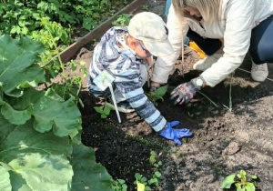 Dzieci zadzą rośliny