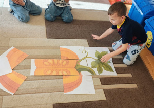 Chłopiec układa dynię