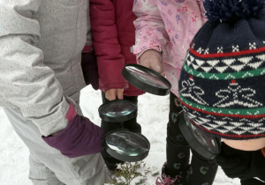 Dzieci obserują krzak