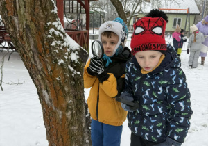 Dzieci obserują kore drzewa