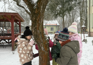 Dzieci obsewują korę drzewa