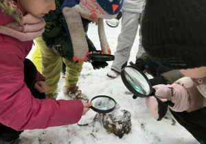 Dzieci obserwują przez lupy