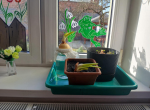 Bystrzaki zakładają własną hodowlę roślin