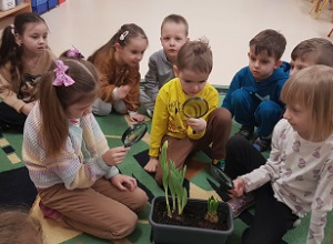 Ruszyła innowacja „Ogródek Przedszkolaka – mali badacze przyrody”