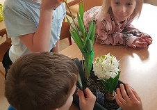 Dzieci obserwuja kwiaty