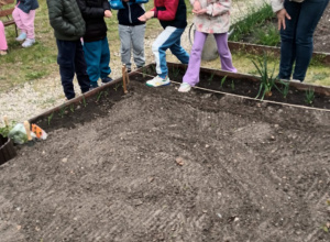 Jabłcusie w Ogrodzie: Kontynuacja Naszej Innowacji Pedagogicznej!