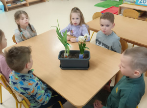 Sekrety kwiatów cebulowych – kontynuujemy naszą innowację