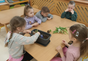 Dziewczynka wyciąga z doniczki cebulkę