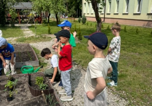 Dzieci sadzą owoce i warzywa