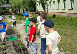 Dzieci sadzą owoce i warzywa