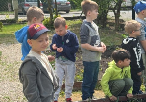 Dzieci sadzą owoce i warzywa