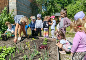 Dzieci pracują w ogródku