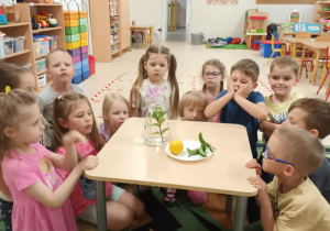 Dzieci przyglądają się