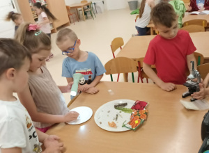 Mali badacze pod mikroskopem: „Jabłcusie” odkrywają sekrety przyrody!