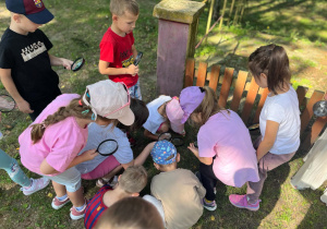 Dzieci obserwują przyrode przez lupę