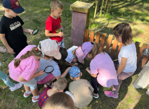 Z lupą przez świat- grupa "Wiewiórki" w akcji.