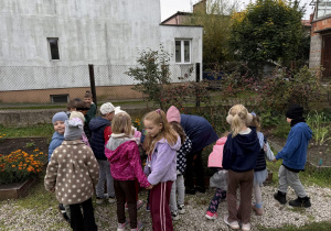 Grupa dzieci w kurtkach i czapkach stoi na żwirowej ścieżce w ogrodzie, przy drewnianych grządkach z pomarańczowymi aksamitkami i krzewami, i przygląda się roślinom razem z opiekunką. W tle widać siatkowe ogrodzenie, budynki mieszkalne i drzewa.