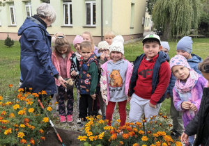 Opiekunka pokazuje grupie dzieci doniczkę z cebulkami kwiatowymi przy rabacie z aksamitkami na terenie przedszkola. Na rabacie leży wbita w ziemię łopatka, a w tle widać budynek i trawnik.