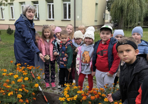 Grupa dzieci z opiekunką stoi przy rabacie z kwitnącymi aksamitkami przed budynkiem przedszkola; opiekunka trzyma doniczkę z cebulkami kwiatowymi przygotowanymi do sadzenia. Z rabaty wystaje łopatka ogrodowa wbita w świeżo przekopaną ziemię.