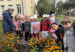 Grupa dzieci z opiekunką stoi w przedszkolnym ogrodzie przy rabacie z pomarańczowymi i żółtymi aksamitkami, gdzie ziemia jest przygotowana do sadzenia. Opiekunka pokazuje dzieciom miseczkę z cebulkami kwiatów, a na grządce leżą grabie.